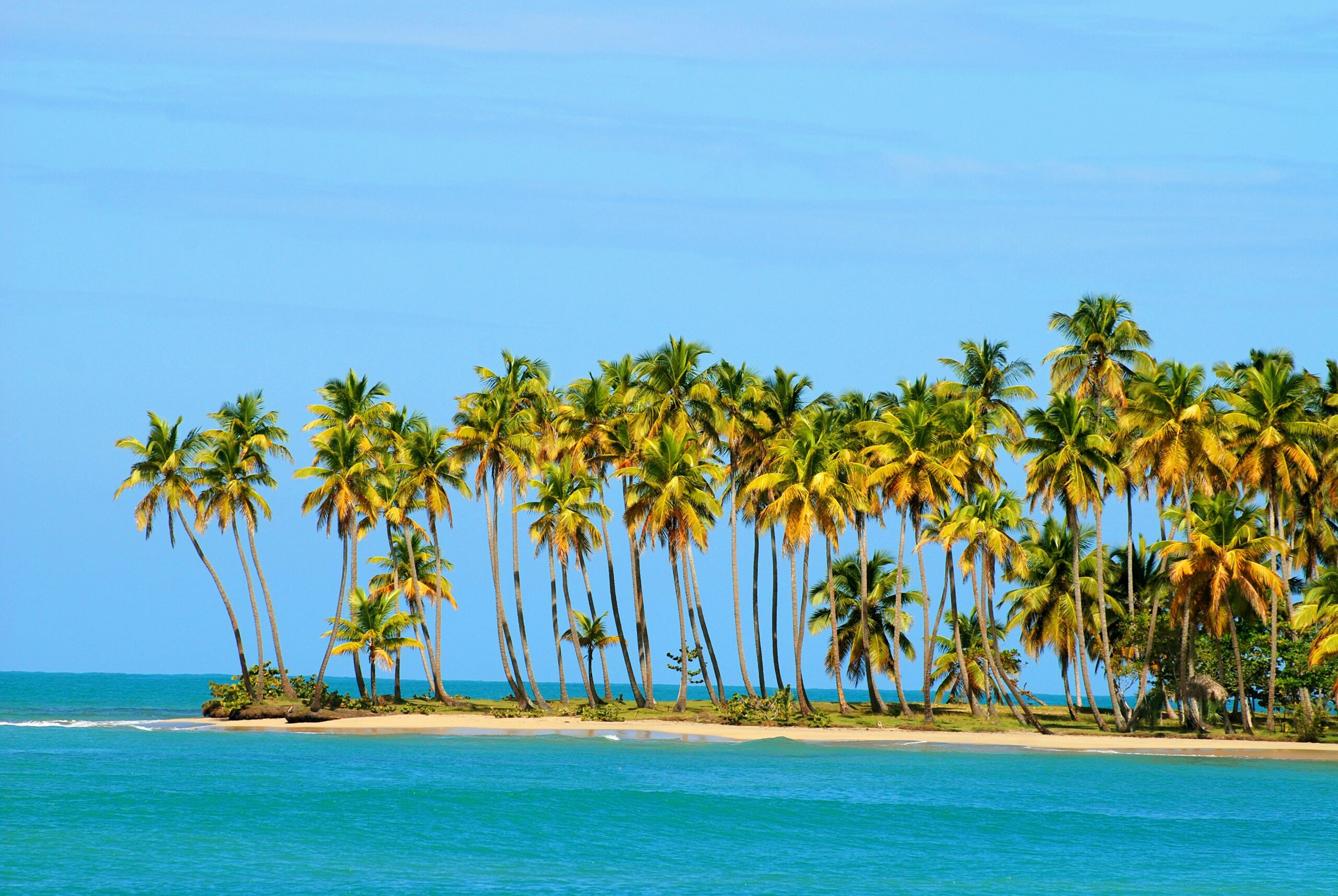 playa esmeralda miches