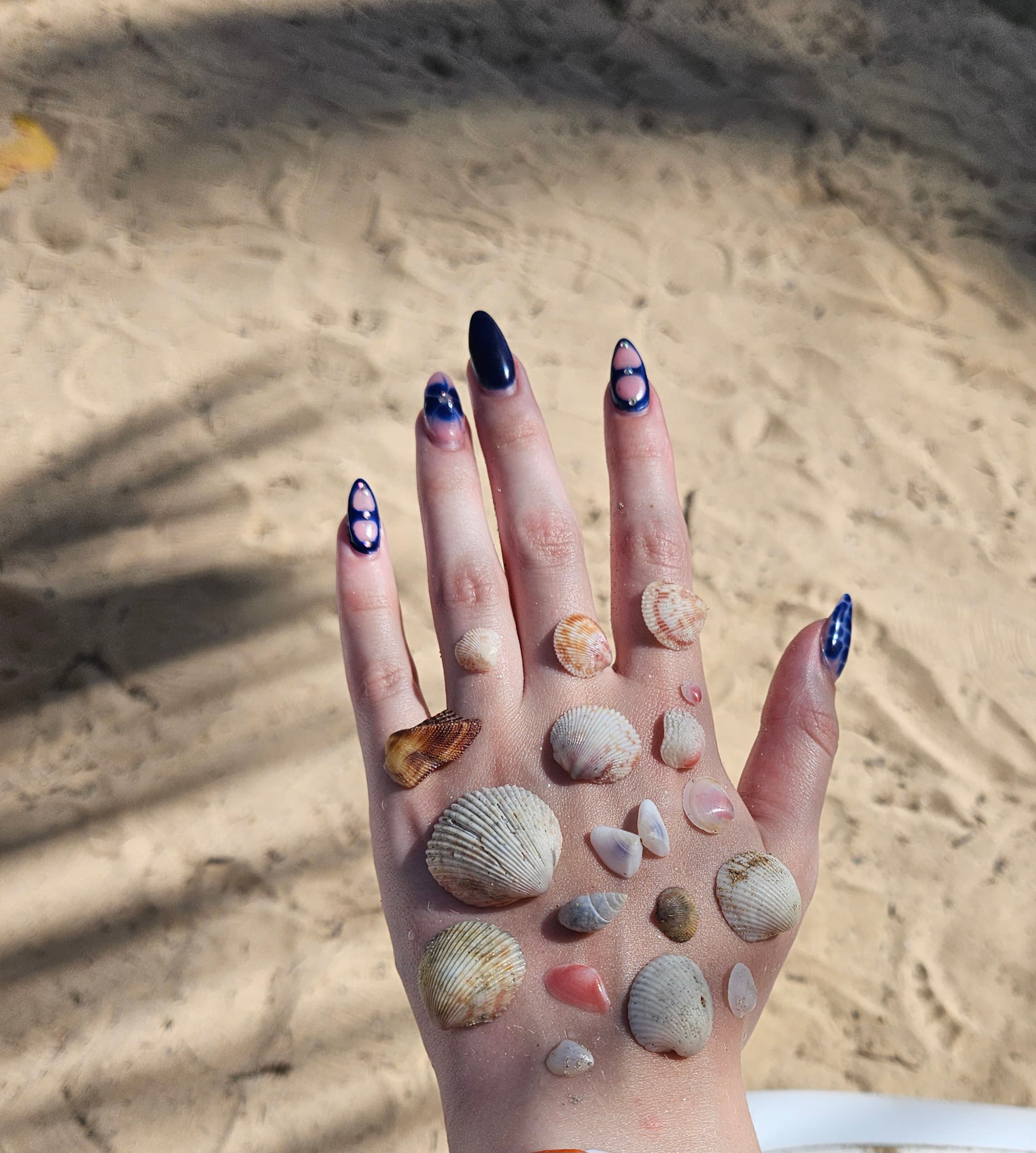 Pretty display of sea shells on top of female hand